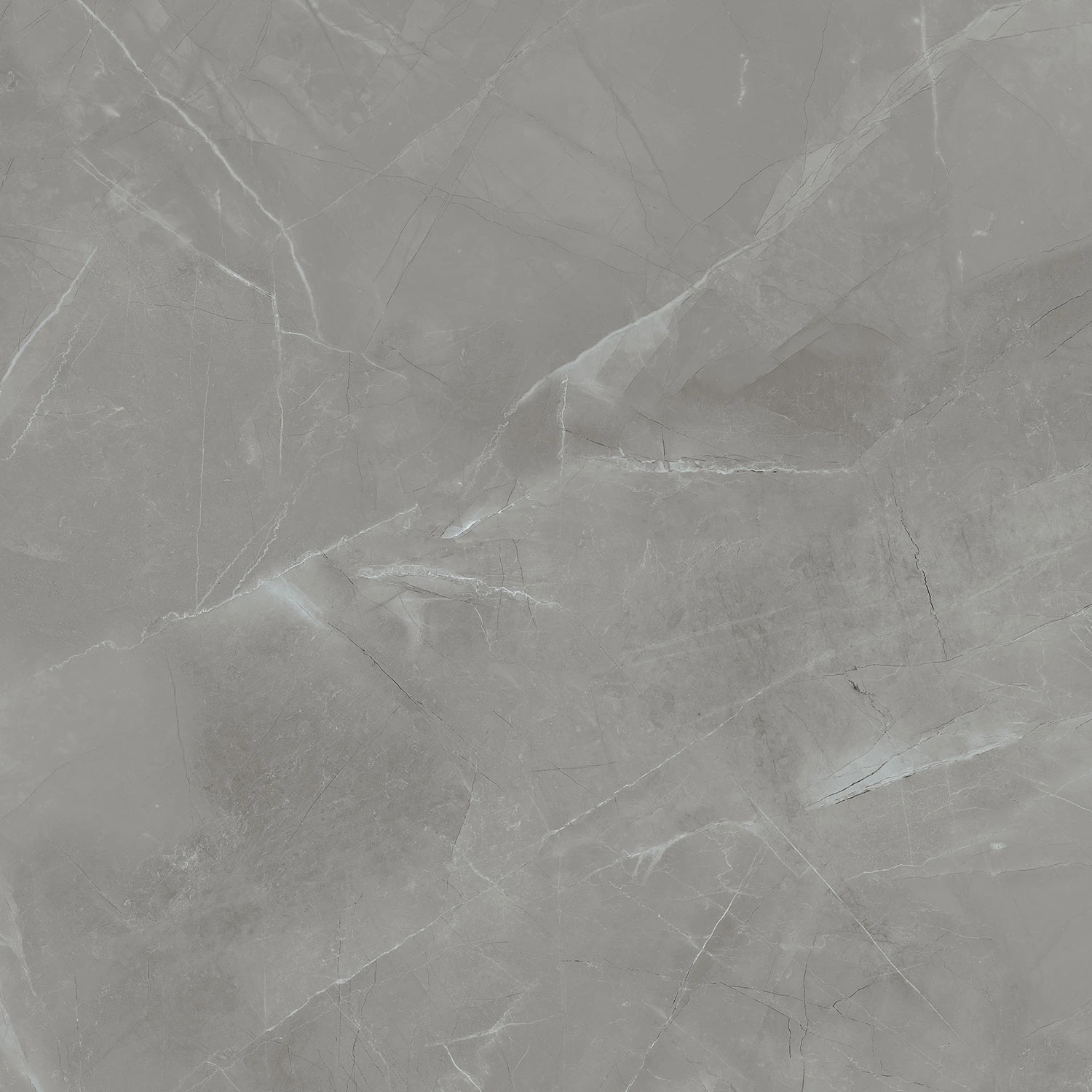 Универсальная плитка (керамогранит) Tubadzin Grey Pulpis POL 119.8x119.8 см