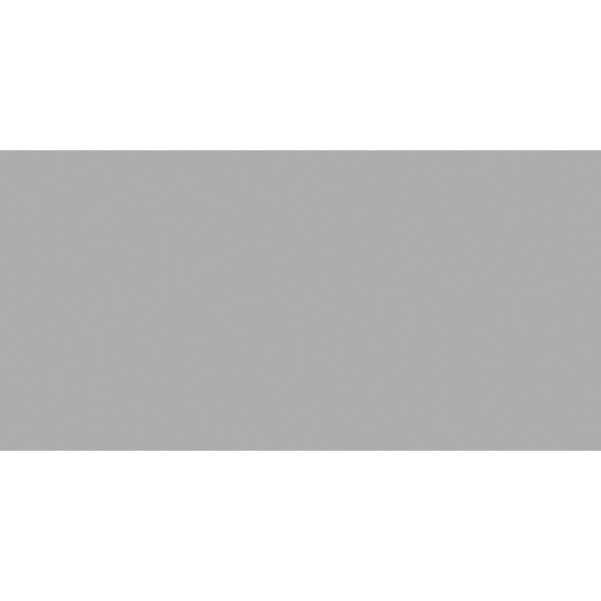 Универсальная плитка (керамогранит) Staro Elite Grey Matt 60x120 см