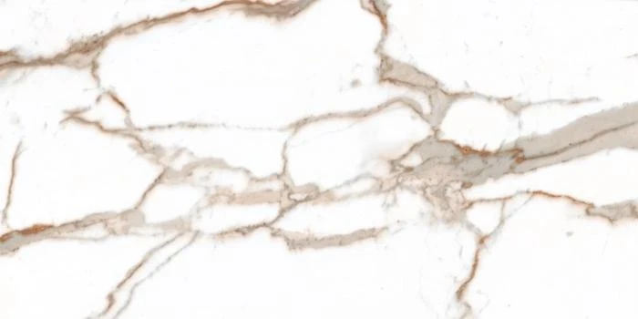 Универсальная плитка (керамогранит) Fiore Orobianco RT 60x120 см