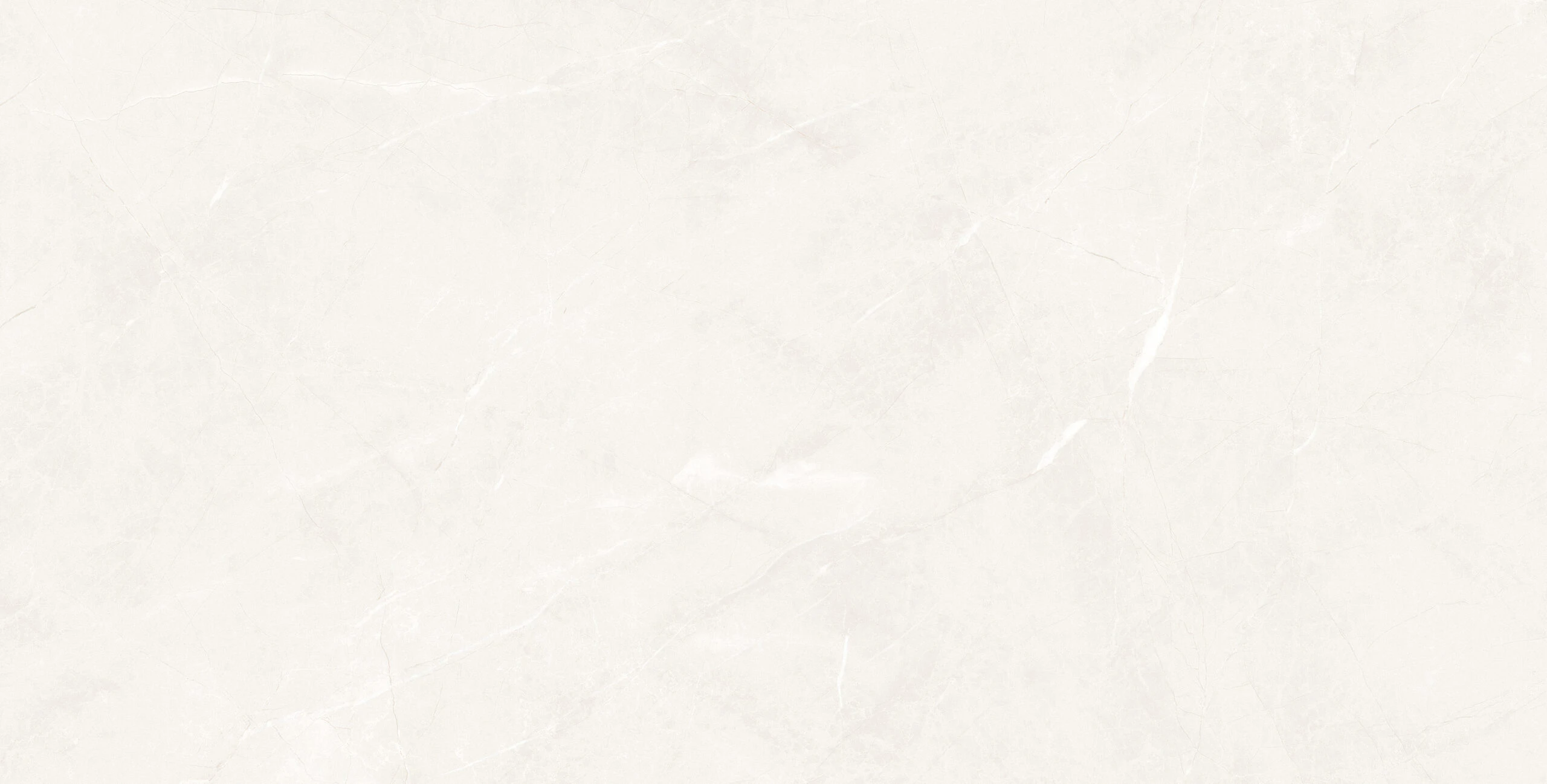 Универсальная плитка (керамогранит) Prissmacer Isea White 120x60 см