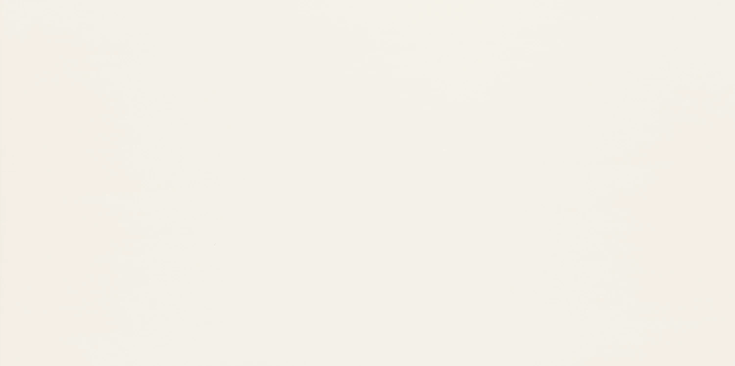 Настенная плитка Domino Duo white 29.8x59.8 см