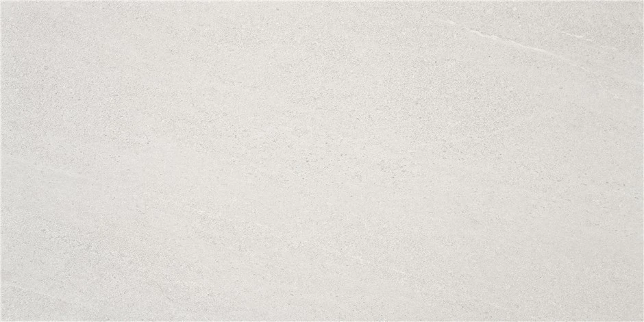 Универсальная плитка (керамогранит) Alaplana Halton White MAT 120x59.5 см