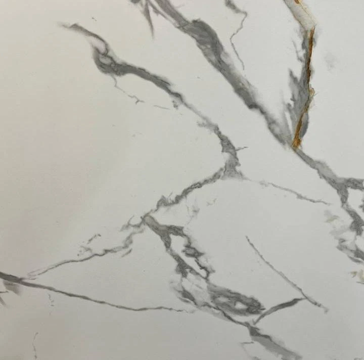 Напольная плитка (керамогранит) Lavit RC_5004_END carving 60х60 см