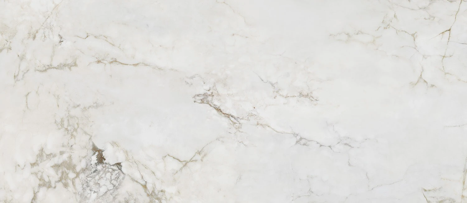 Универсальная плитка (керамогранит) Arte Shellstone white POL 274.8x119.8 см