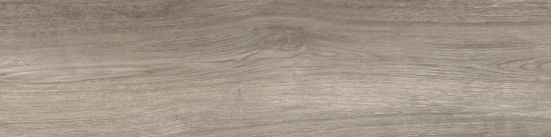 Универсальная плитка (керамогранит) Argenta Landes Taupe 22.5x90 см