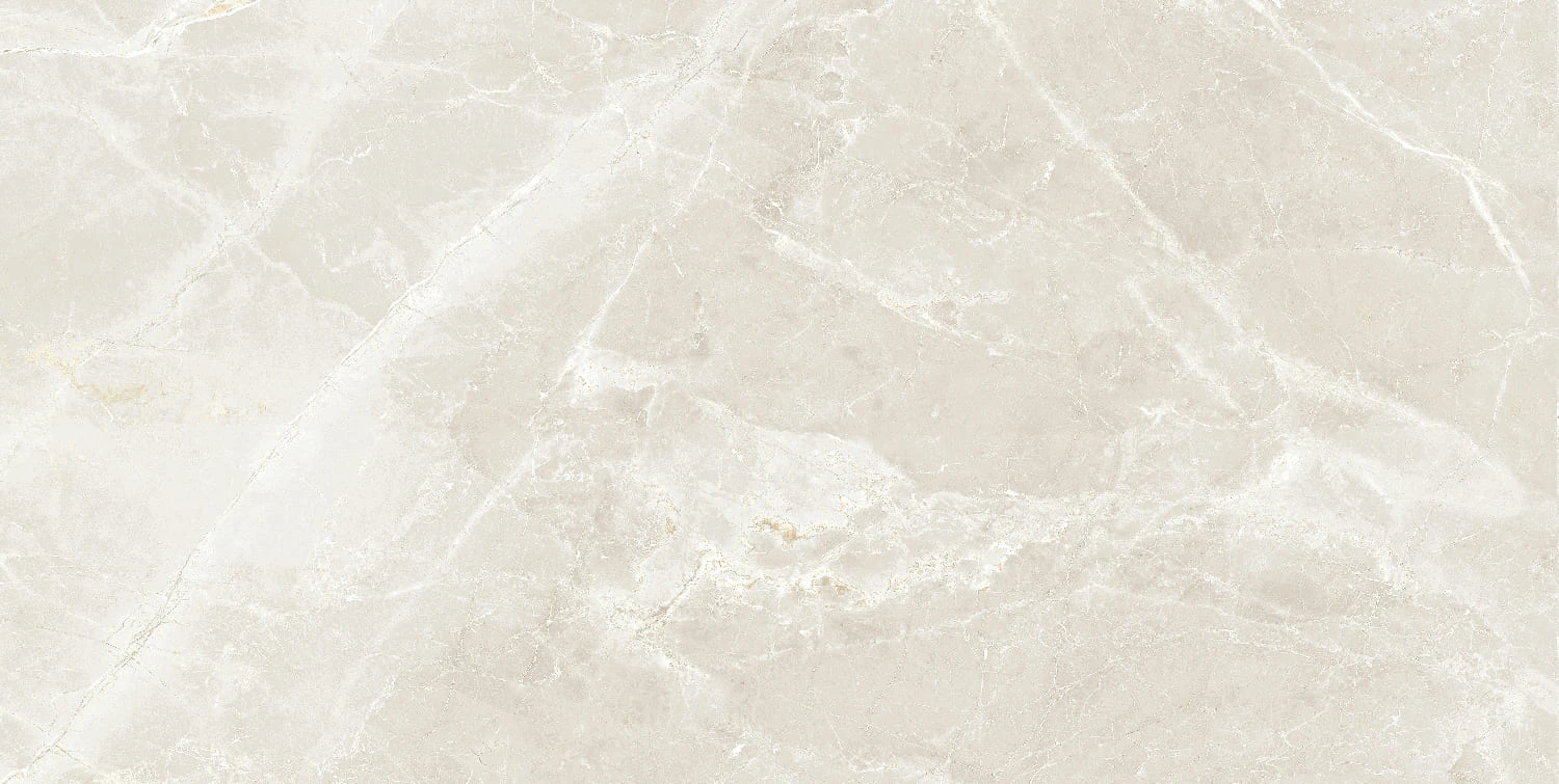 Универсальная плитка (керамогранит) Prissmacer Fior Di Bosco Sand Mate 120x60 см