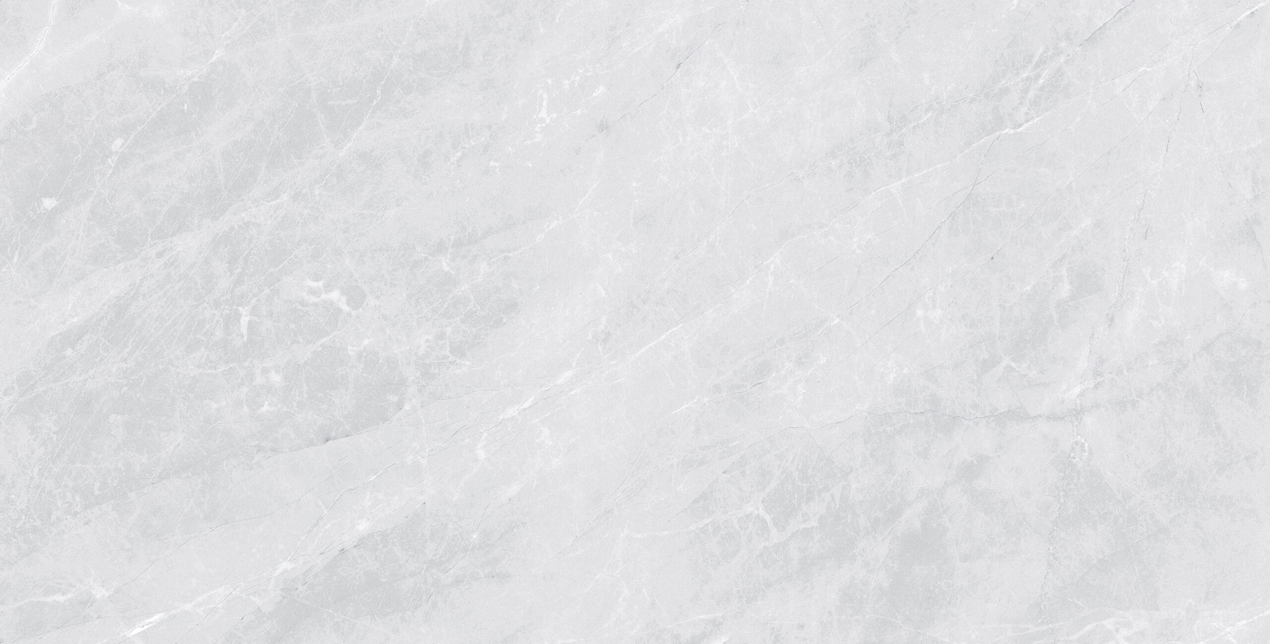 Универсальная плитка (керамогранит) Prissmacer Isea Pearl 120x60 см