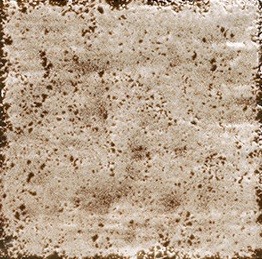 Настенная плитка Mainzu Artigiano Cream 20x20 см