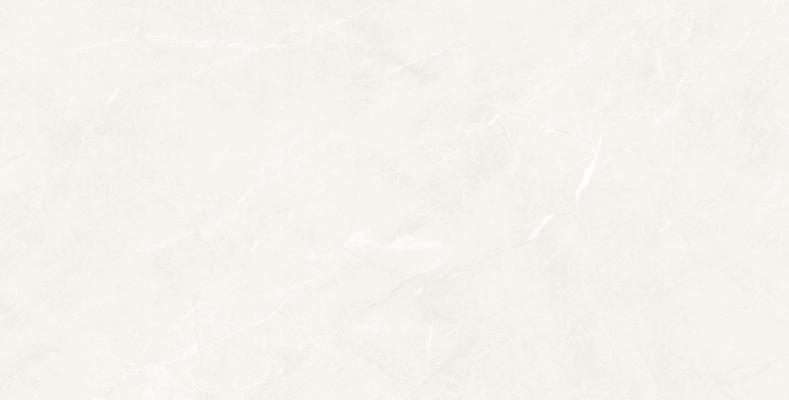 Универсальная плитка (керамогранит) Prissmacer Isea White 120x60 см