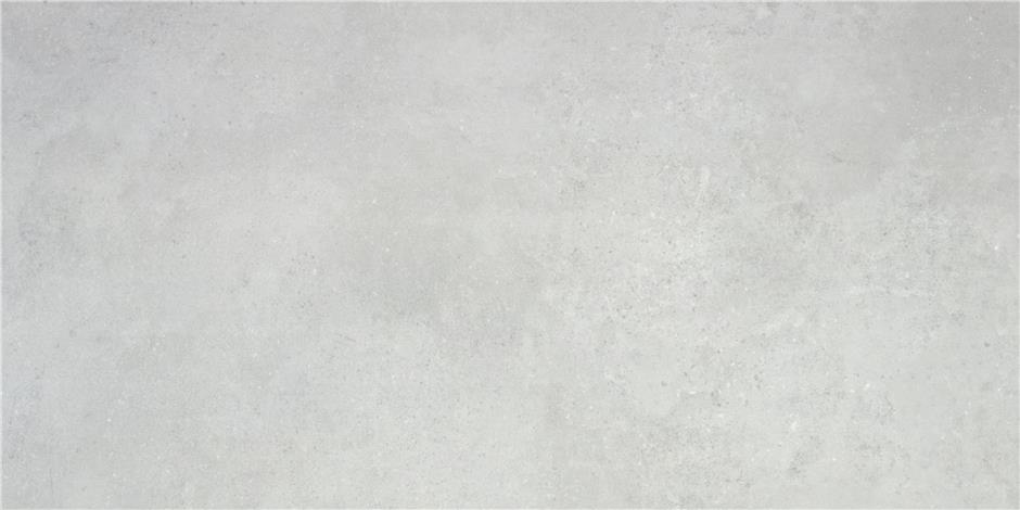 Универсальная плитка (керамогранит) Alaplana Rohe Snow MAT 120x59.5 см