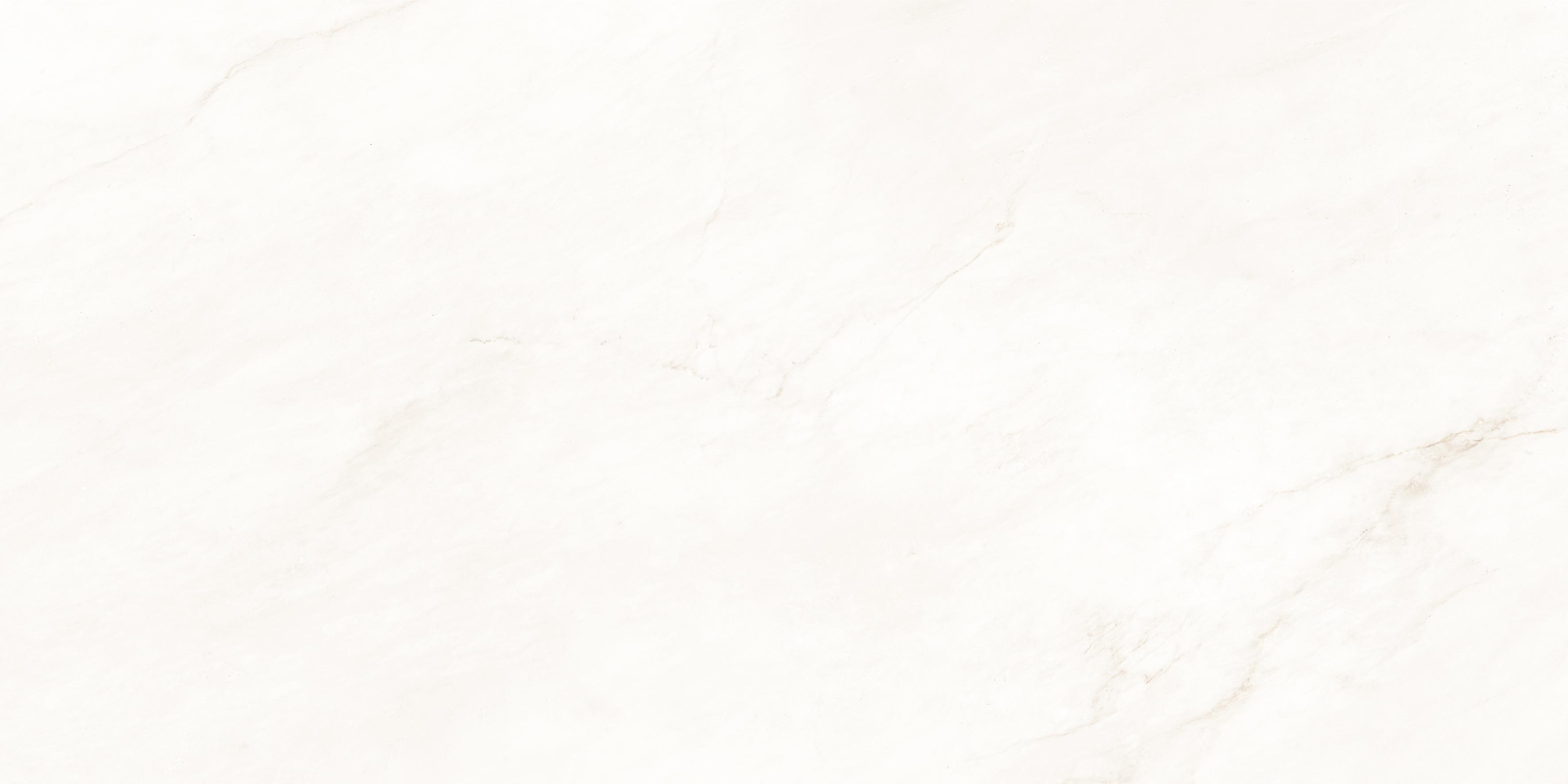 Универсальная плитка (керамогранит) Eternal Bianco Oro Glossy 120x60 см