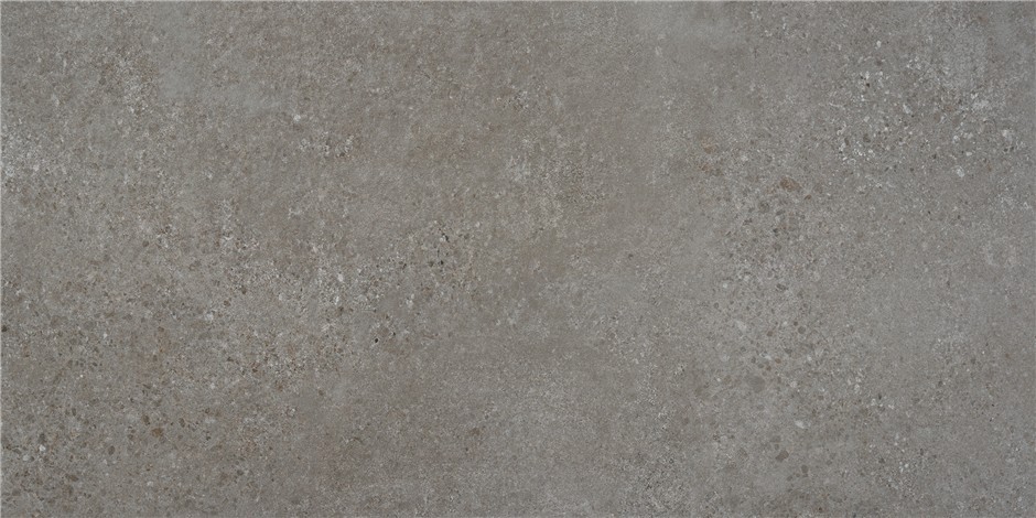 Ð£Ð½Ð¸Ð²ÐµÑ€ÑÐ°Ð»ÑŒÐ½Ð°Ñ Ð¿Ð»Ð¸Ñ‚ÐºÐ° (ÐºÐµÑ€Ð°Ð¼Ð¾Ð³Ñ€Ð°Ð½Ð¸Ñ‚) Alaplana Rodas Gris MAT 120x59.5 ÑÐ¼