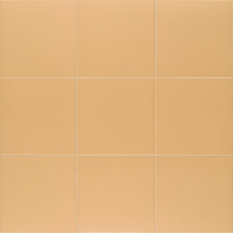 Ð£Ð½Ð¸Ð²ÐµÑ€ÑÐ°Ð»ÑŒÐ½Ð°Ñ Ð¿Ð»Ð¸Ñ‚ÐºÐ° (ÐºÐµÑ€Ð°Ð¼Ð¾Ð³Ñ€Ð°Ð½Ð¸Ñ‚) Mainzu Technical Tangerine 20x20 ÑÐ¼