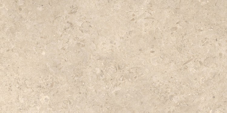 Универсальная плитка (керамогранит) Azuvi Shalem Natural 120x60 см