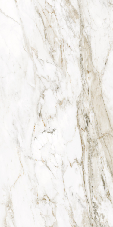 Универсальная плитка (керамогранит) Ennface Calacatta Citrus Matt 120x60 см