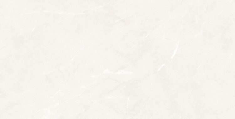 Универсальная плитка (керамогранит) Prissmacer Isea White 120x60 см