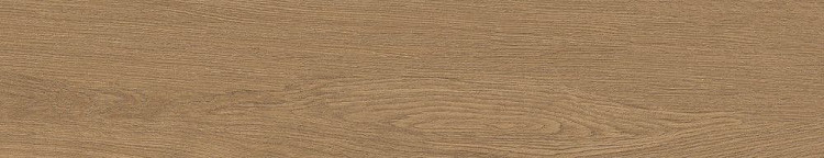 Универсальная плитка (керамогранит) Argenta Arbela Miel 23x120 см