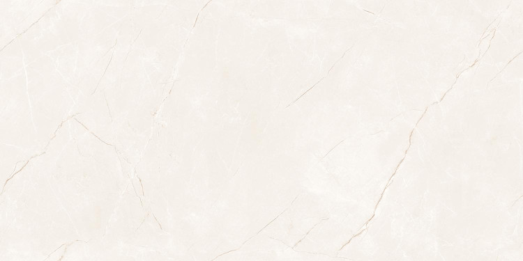 Универсальная плитка (керамогранит) Seron Riccardi Ivory 120x60 см