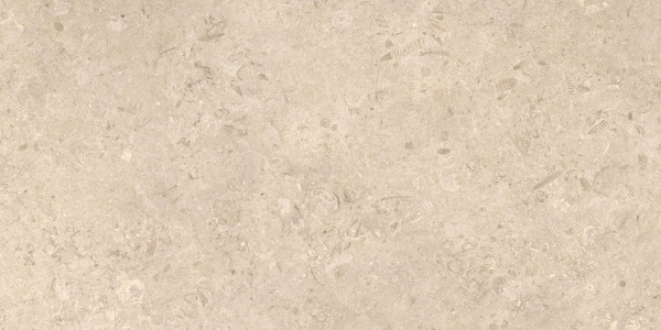 Ð£Ð½Ð¸Ð²ÐµÑ€ÑÐ°Ð»ÑŒÐ½Ð°Ñ Ð¿Ð»Ð¸Ñ‚ÐºÐ° (ÐºÐµÑ€Ð°Ð¼Ð¾Ð³Ñ€Ð°Ð½Ð¸Ñ‚) Azuvi Shalem Natural 120x60 ÑÐ¼