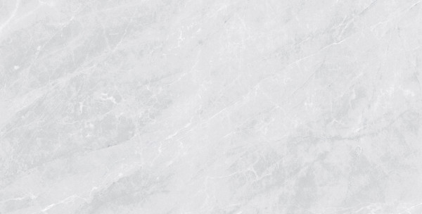 Универсальная плитка (керамогранит) Prissmacer Isea Pearl 120x60 см