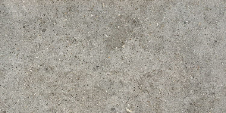 Универсальная плитка (керамогранит) Arte Etno grey MAT 119,8x59,8 см