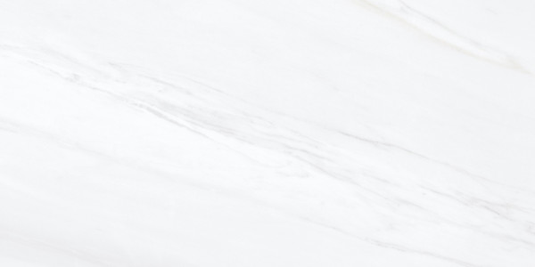 Универсальная плитка (керамогранит) TAU Macael White MAT120x60 см