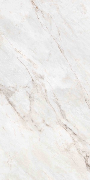 Универсальная плитка (керамогранит) Ennface Statuario Oro Lapatto Matt 120x60 см