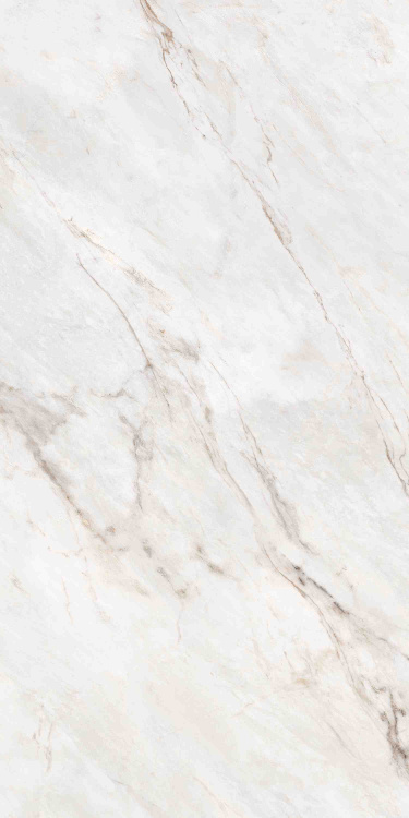 Универсальная плитка (керамогранит) Ennface Statuario Oro Lapatto Matt 120x60 см