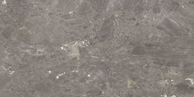 Универсальная плитка (керамогранит) Azuvi Mystery Taupe POL 120x60 см