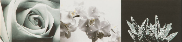 Настенный бордюр Maxima black 2 448x100 / 8mm