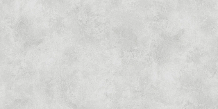 Универсальная плитка (керамогранит) Eternal Eva Grey Matt 120x60 см