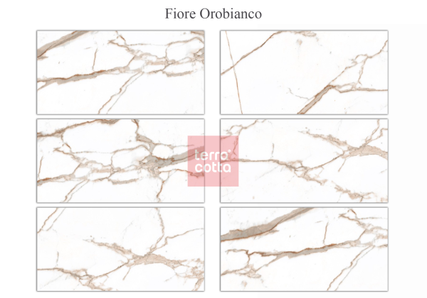 Универсальная плитка (керамогранит) Fiore Orobianco RT 60x120 см