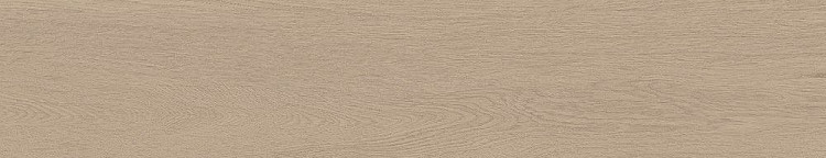 Универсальная плитка (керамогранит) Argenta Arbela Natural 23x120 см