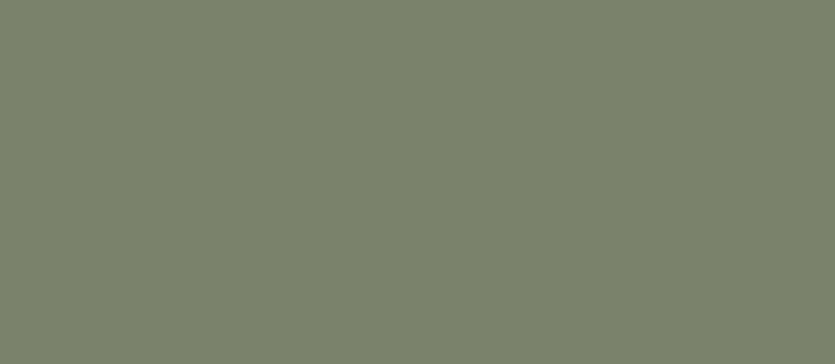 Универсальная плитка (керамогранит) Tubadzin Cielo e Terra Verde MAT 274.8x119.8 см