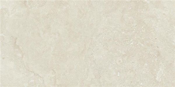 Ð£Ð½Ð¸Ð²ÐµÑ€ÑÐ°Ð»ÑŒÐ½Ð°Ñ Ð¿Ð»Ð¸Ñ‚ÐºÐ° (ÐºÐµÑ€Ð°Ð¼Ð¾Ð³Ñ€Ð°Ð½Ð¸Ñ‚) Alaplana Portland Bone STR MAT 120x59.5 ÑÐ¼
