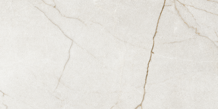 Универсальная плитка (керамогранит) Argenta Raffaello Ivory 120x60 см