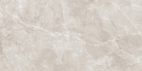 Универсальная плитка (керамогранит) Eternal Rocky Shore glossy 120x60 см