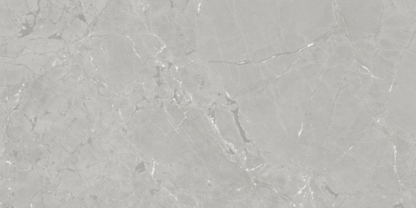 Ð£Ð½Ð¸Ð²ÐµÑ€ÑÐ°Ð»ÑŒÐ½Ð°Ñ Ð¿Ð»Ð¸Ñ‚ÐºÐ° (ÐºÐµÑ€Ð°Ð¼Ð¾Ð³Ñ€Ð°Ð½Ð¸Ñ‚) Azuvi Neeko Grey SL RC 120x60 ÑÐ¼