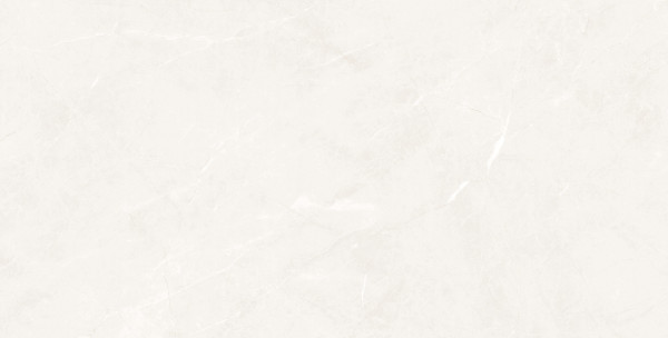 Универсальная плитка (керамогранит) Prissmacer Isea White 120x60 см