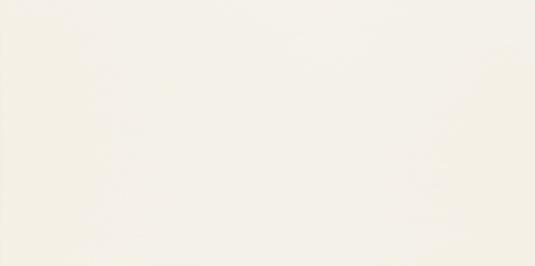 ÐÐ°ÑÑ‚ÐµÐ½Ð½Ð°Ñ Ð¿Ð»Ð¸Ñ‚ÐºÐ° Domino Duo white 29.8x59.8 ÑÐ¼