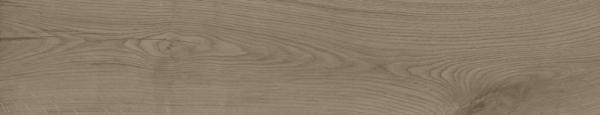 Универсальная плитка (керамогранит) Argenta Oland Nut 23x120 см