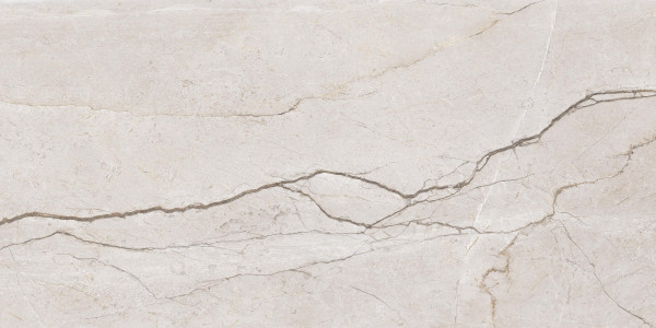 Универсальная плитка (керамогранит) Eternal Cold Ice glossy 120x60 см