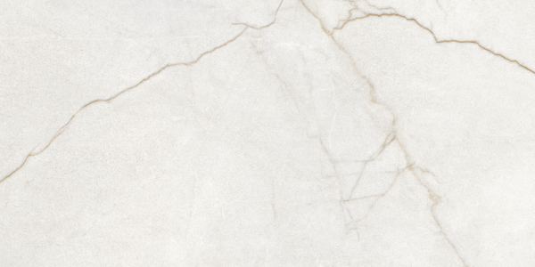 Универсальная плитка (керамогранит) Argenta Raffaello Ivory Silk 120x60 см