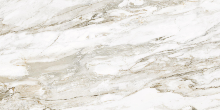 Универсальная плитка (керамогранит) Ennface Calacatta Citrus Glossy 120x60 см