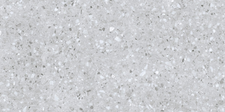 Универсальная плитка (керамогранит) Ennface Porto Silver Matt 120x60 см