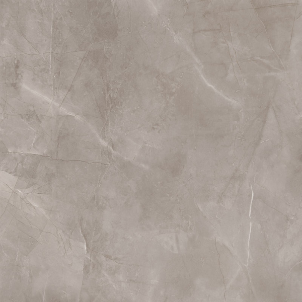 Ð£Ð½Ð¸Ð²ÐµÑ€ÑÐ°Ð»ÑŒÐ½Ð°Ñ Ð¿Ð»Ð¸Ñ‚ÐºÐ° (ÐºÐµÑ€Ð°Ð¼Ð¾Ð³Ñ€Ð°Ð½Ð¸Ñ‚) Tubadzin Harmonic grey POL 79,8x79,8 ÑÐ¼