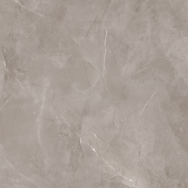 ÐÐ°Ð¿Ð¾Ð»ÑŒÐ½Ð°Ñ Ð¿Ð»Ð¸Ñ‚ÐºÐ° (ÐºÐµÑ€Ð°Ð¼Ð¾Ð³Ñ€Ð°Ð½Ð¸Ñ‚) Tubadzin Harmonic grey POL 59,8x59,8 ÑÐ¼