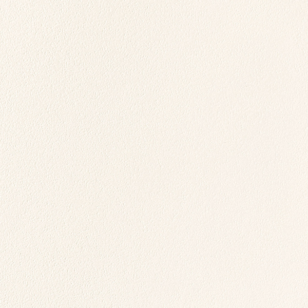 Напольная плитка (керамогранит) Tubadzin All in white white 59.8x59.8 см