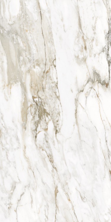 Универсальная плитка (керамогранит) Ennface Calacatta Citrus Glossy 120x60 см