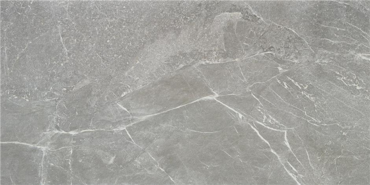 Универсальная плитка (керамогранит) Alaplana Blade Gris MAT 120x59.5 см